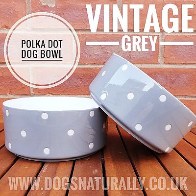 Vintage Grey Polka Dot Dog Bowl (Large)